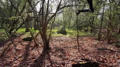 Marmot Tungsten 1P -Marmot Outdoor Equipment 20180422 085438small